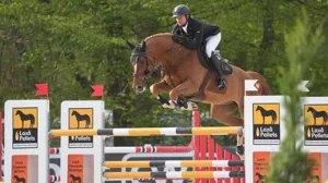 Vernaet wint 1m35 in Azelhof met Eclair W van de Dauwhoeve Z