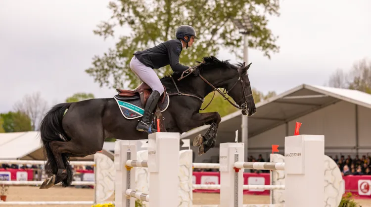 Le CSI 3* de Jump'Est réunira plusieurs cavaliers olympiques dès le jeudi 16 avril près de Nancy, dont Kevin Staut.