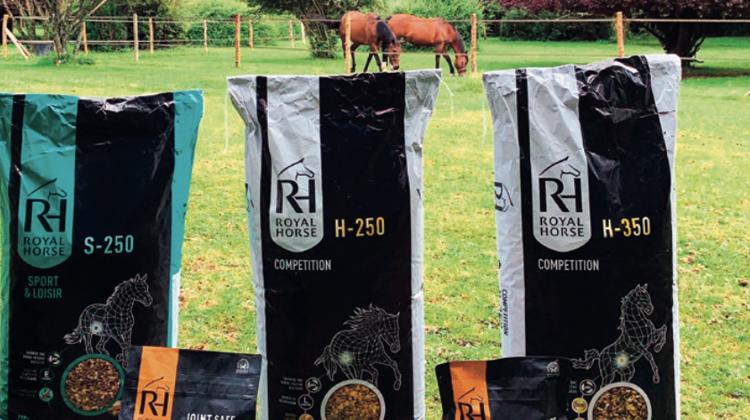 Le H150 de Royal Horse, un aliment pour les chevaux de compétition sensibles