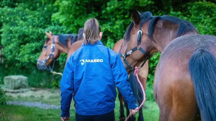 La voie d’excellence pour vivre sa passion du cheval