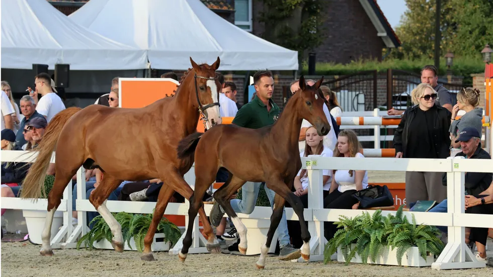 Unibelle Field ging voor 42.000 euro onder de veilinghamer