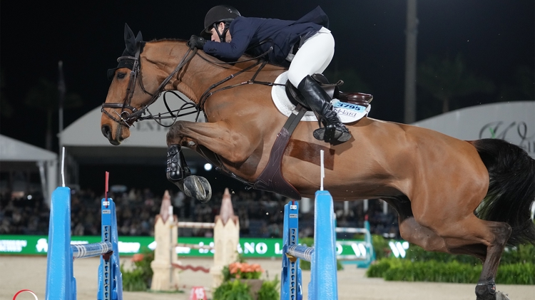 Mclain Ward & High Star Hero