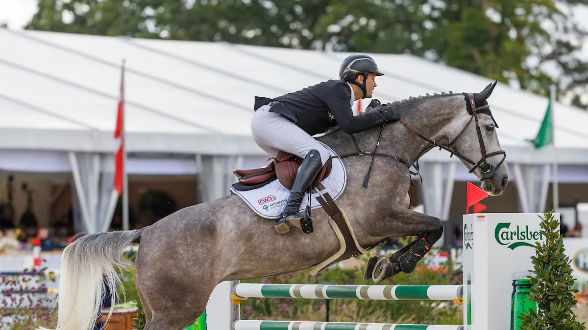 Sander Kenis springt zich in de kijker in Kronenberg