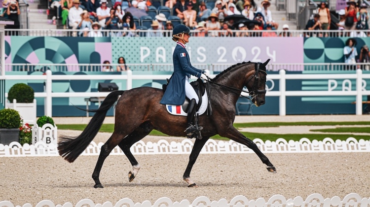 Pauline Basquin et Sertorius de Rima Z*IFCE aux Jeux olympiques de Paris 2024. 