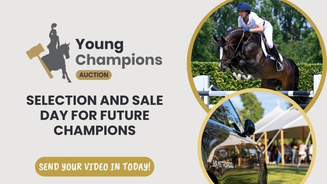 Young Champions Auction Selection & Sale Day