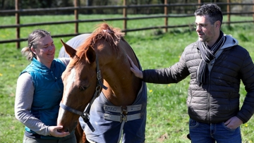 Marine Barlet et Julien Blot sont fiers de Maloubet de Pléville, leur étalon et cheval de cœur.