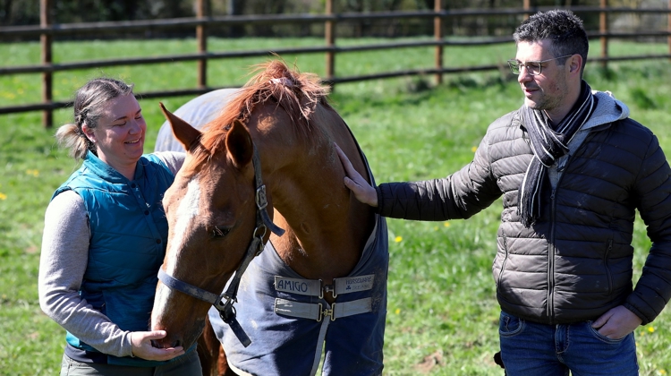 Marine Barlet et Julien Blot sont fiers de Maloubet de Pléville, leur étalon et cheval de cœur.