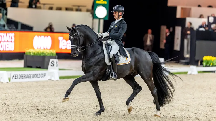 Pour leur première apparition de l’année, Justin Verboomen et Zonik Plus se sont imposés aujourd’hui, à Bois-le-Duc.