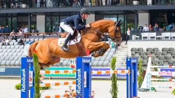 Auteur d’une bonne carrière internationale réalisée notamment sous la selle du Belge Pieter Clemens, I Am Moerhoeve’s Star a effectué sa première saison de monte en France l’année dernière.