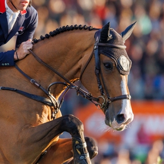 Jerenmias van het Hulstenhof