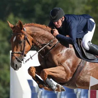 Ballerine du Vilpion