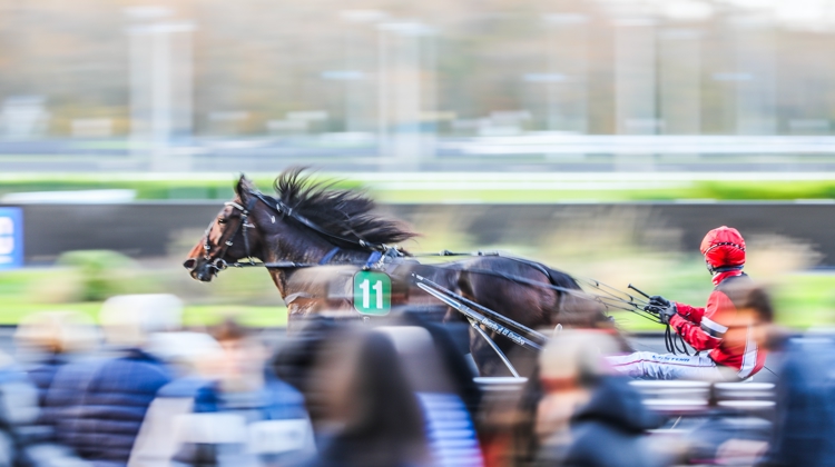 Amérique Races: le sommet mondial du trot, six qualifications, trois finales, une légende