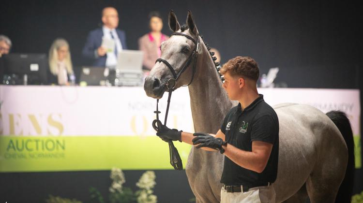 Normandy Queens Auction, la vente aux enchères qui mise sur les jeunes reines! 