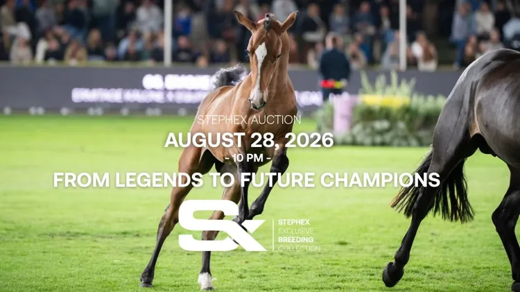 Stephex Exclusive Breeding Collection  op vrijdagavond 28 augustus