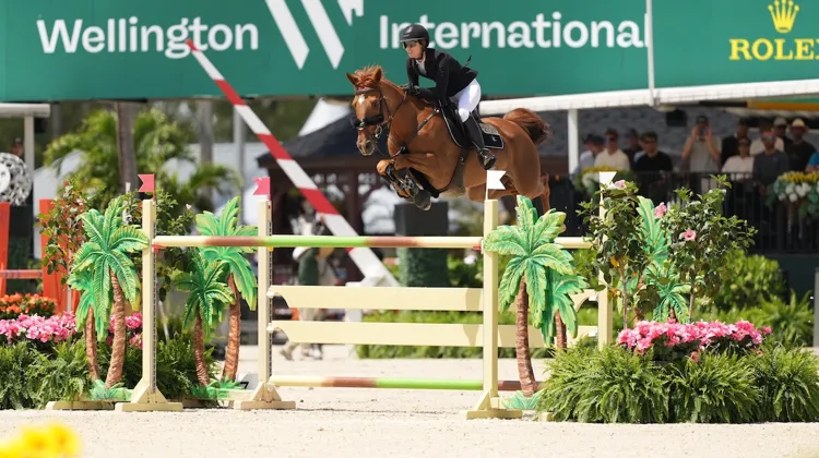 Hier, Charlotte Jacobs et Rincoola Milsean ont remporté une Vitesse à 1,50m à Wellington. 