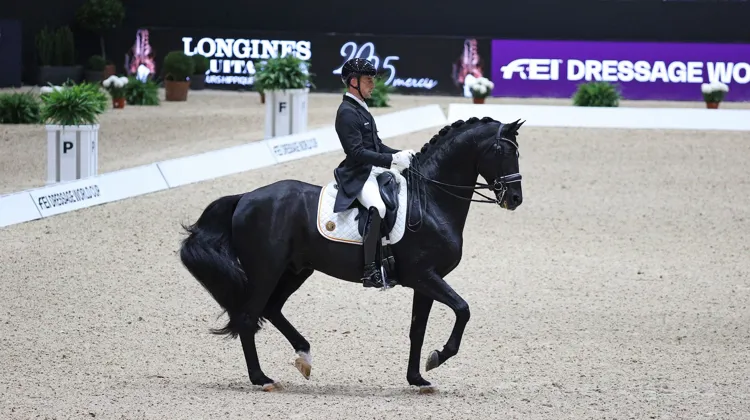 Partout où ils passent, Justin Verboomen et Zonik Plus séduisent par leur connexion. 