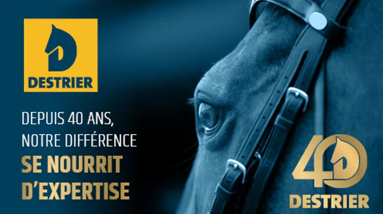 Destrier, la référence française de nutrition équine
