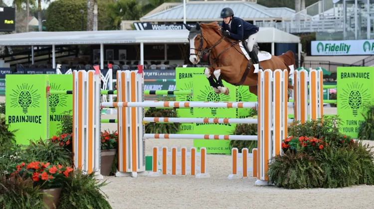 Agalino CL Z derde in Mill Spring, Belgische paarden domineren