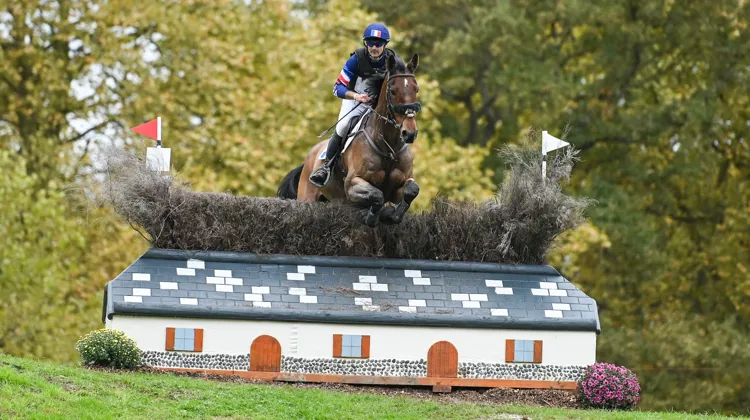 Pour son avenir sportif, Benjamin Massié peut notamment compter sur Indigogrey Savigny, quatrième du Mondial des sept ans l’an passé au Lion-d’Angers.