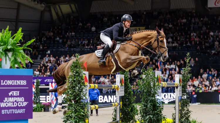 Ici à Stuttgart, Pretty Woman van’t Paradijs a remporté coup sur coup deux étapes de la Coupe du monde Longines en fin d’année 2025. 