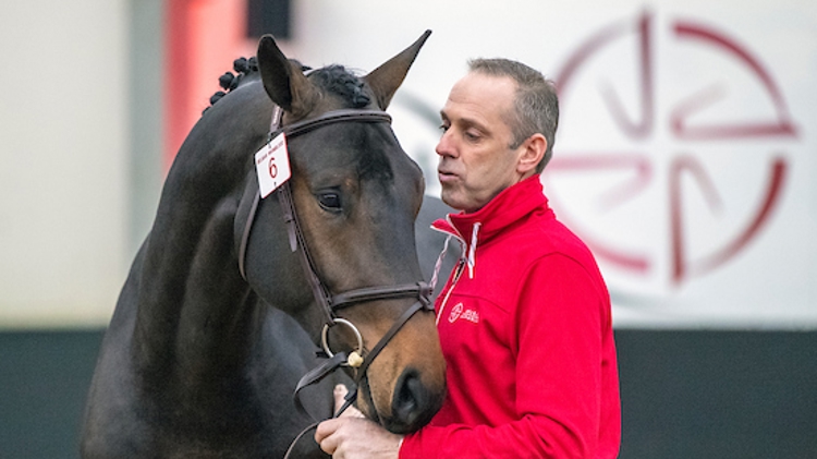 Bert Van Den Branden met Pegase van 't Ruytershof tijdens de BWP Hengtenkeuring