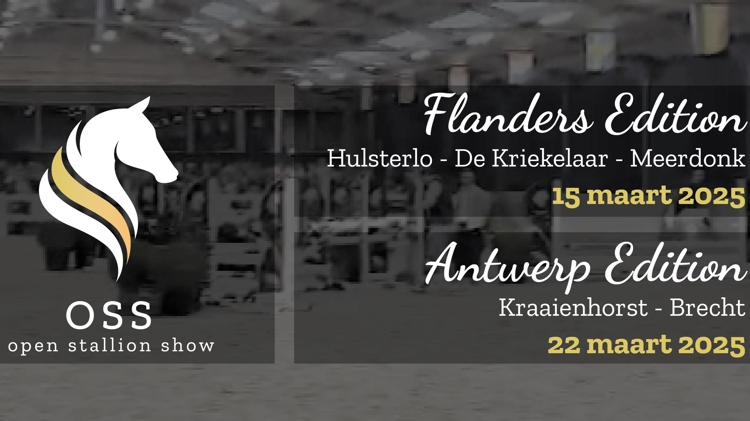 Aftellen naar de Open Stallion Show