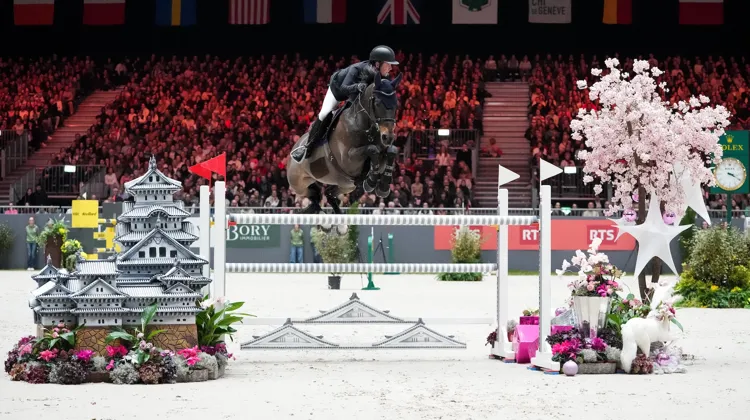 À la veille de sa première finale Longines de la Coupe du monde à Fort Worth, Marc Dilasser sera asscocié à Arioto du Gèvres, son partenaire d’expérience.