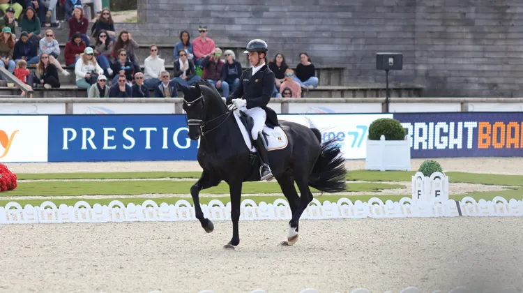 Mi-avril, Justin Verboomen et Zonik Plus ont ébloui le public du Printemps des sports équestres de Fontainebleau, où ils ont remporté le Grand Prix et la Reprise Libre en Musique du CDIO 5*. En haut à droite : en août dernier, à Crozet, Justin Verboomen est devenu le premier cavalier belge à décrocher l’or européen en dressage.