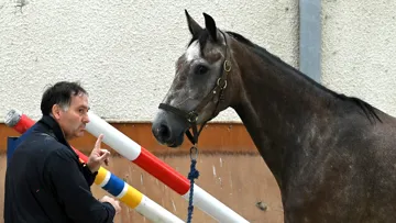 En trente ans d’expérience et d’observation des jeunes chevaux, Éric Livenais a acquis une expertise que sollicitent nombre d’organisations au sein de la filière.