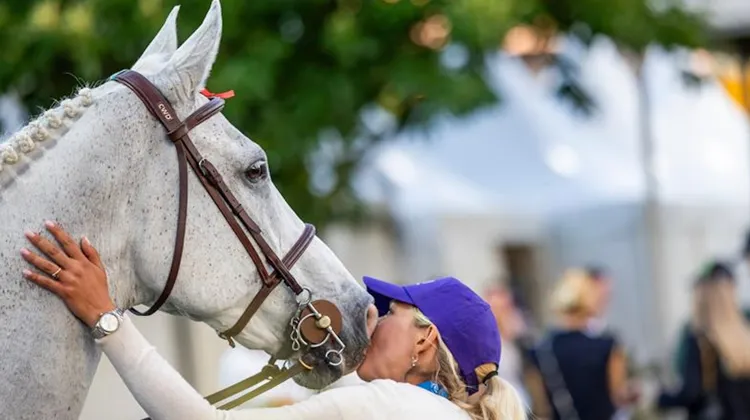 Éric Livenais interroge une idée clé du sport équestre : un cheval saute-t-il vraiment que s’il en a l’envie ? 