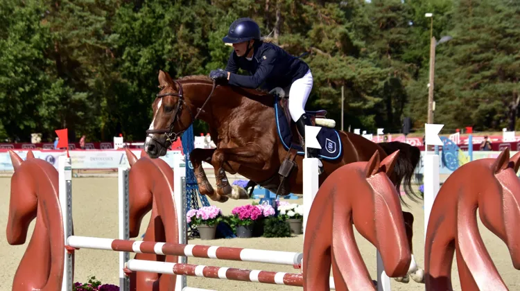 Vice-champion de France à cinq ans, Karadok de Blonde a cette année gravi la plus haute marche du podium du championnat des mâles et hongres D avec Lilou Segura 
