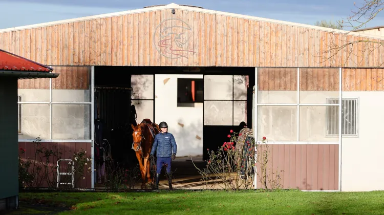 Depuis trente ans, Mickaël Varliaud développe à Alloué un modèle intégrant élevage, valorisation et commercialisation de chevaux de sport.
