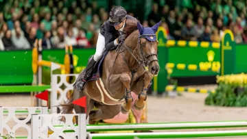 S’il dispose de quatre options pour Aix-la-Chapelle, Simon Delestre privilégie Golden Boy DK, ici au CSI 5* de Bois-le-Duc. 