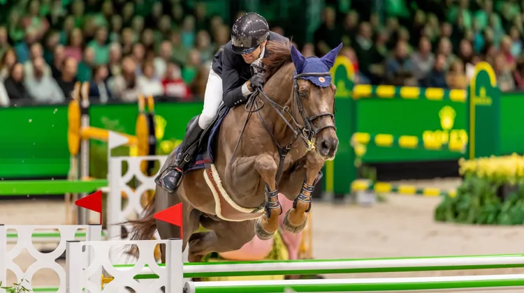 S’il dispose de quatre options pour Aix-la-Chapelle, Simon Delestre privilégie Golden Boy DK, ici au CSI 5* de Bois-le-Duc. 