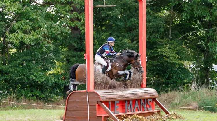 Meilleur produit du haras du Verdon, Boston du Verdon a conclu sa carrière à haut niveau l’an dernier en repartant des championnats d’Europe Poneys du Mans avec deux médailles d’or sous la selle d’Ella Rinaldi.