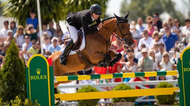 À ce jour, le meilleur produit du haras de Bossy est Valentino Tuilière, qui a obtenu un ISO 168 au terme d’une belle carrière avec Mark McAuley et Charlotte Mordasini.