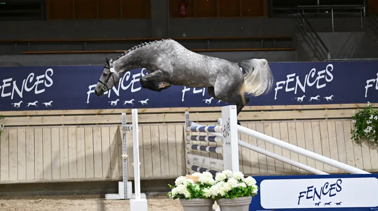 Savona van de Hagenhorst, top price de cette 5e édition, adjugée 52 000€