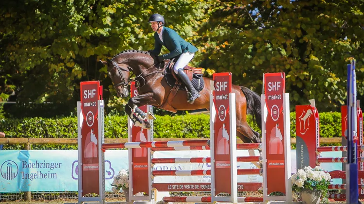 Lutin des Ibis est le nouveau champion de France des chevaux de cinq ans ! 