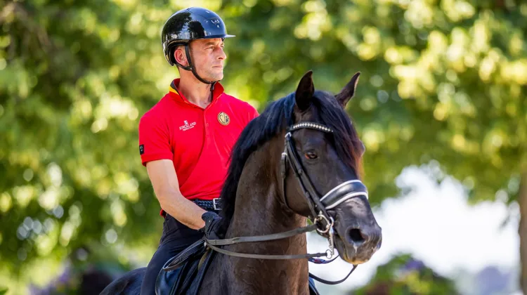 S’il domine le dressage mondial depuis plus d’un an avec le fabuleux Zonik Plus, Justin Verboomen se remet perpétuellement en question.