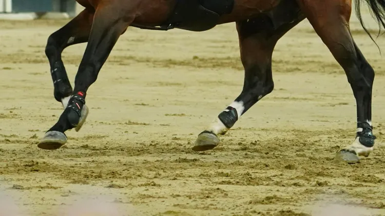 La FEI assure prendre cette affaire très au sérieux.