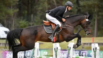 Mis en lumière par Gilles Botton, Dollar du Rouet semblait promis à une belle carrière sportive, mais une blessure en a décidé autrement.