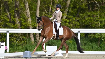 Ayant battu les records de notes qu’avaient établis Dorian Grey de Hus et Don Juan de Hus sur le Cycle classique, Fürstin Toto LH, ici montée par Charlotte Chalvignac Vesin, est considérée comme une future grande star de la discipline. 