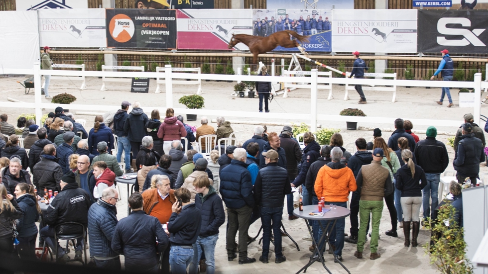 Vrijspringen Jonge Fokkers