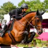 Dynastie de Beaufour
