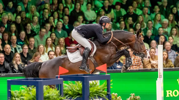 Bas Moerings et son étalon Ipsthar en action lors du CSI 5* de Bois-le-Duc, où le cavalier néerlandais de 26 ans s'est imposé dans le prix VDL Groep à 1,55 m.