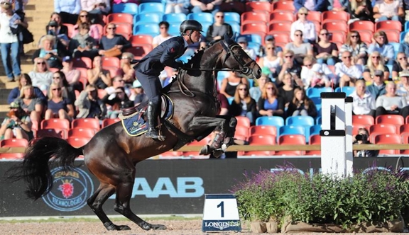Ancien performeur international sous la selle de l'Italien Luca Marziani, Tokyo du Soleil, ici aux championnats d'Europe Longines de Göteberg, est récemment revenu en France pour être consacré à l'élevage. 