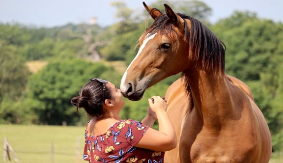 Établie en Mayenne, Amélie Tek n’a pas tardé à briller avec ses chevaux d’Amko.