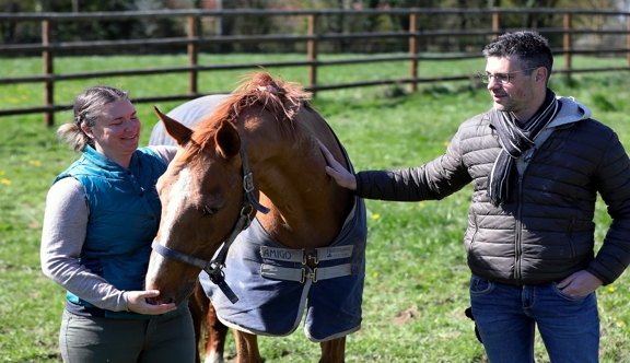 Marine Barlet et Julien Blot sont fiers de Maloubet de Pléville, leur étalon et cheval de cœur.