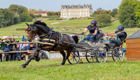 Rendez-vous du 3 au 6 juillet au Pin pour la dix-huitième édition de son concours international d’attelage 3*