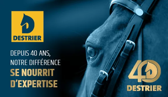 Destrier, la référence française de nutrition équine